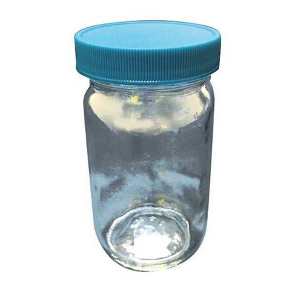 Manufacturer Varies Safety Coated Bottle,146mm H,16 oz.,PK12 52KA41