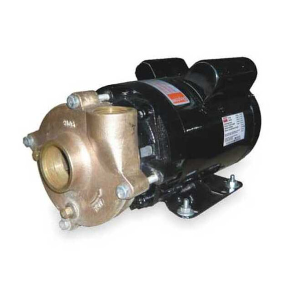 Dayton Bronze/Brass 1-1/2 HP Centrifugal Pump 115/208-230V 2ZWT2