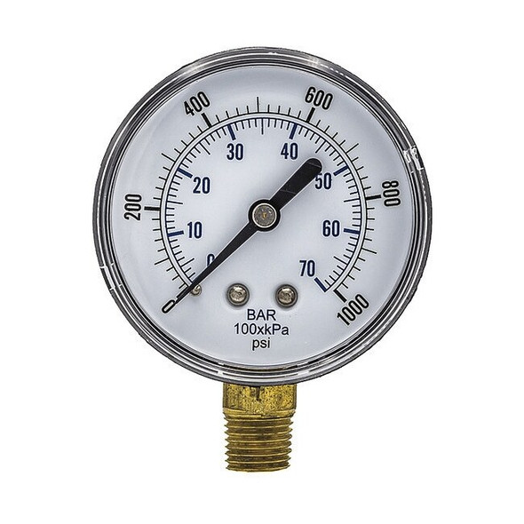 Pic Gauges SEP-101D-254M-BSPT