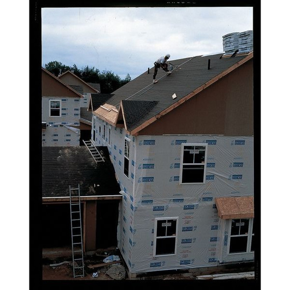 3m Dbi-Sala Roof Anchor, 25 in Length, 310 lb Weigth Capacity, Steel Anchor, Pivot D-Ring 2103673