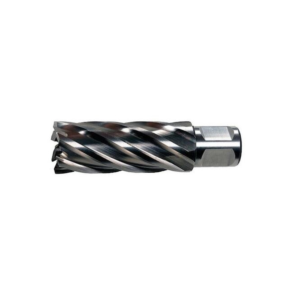 Slugger by Fein Annular Cutter, HSS, 2 dia., 4D 63134508004