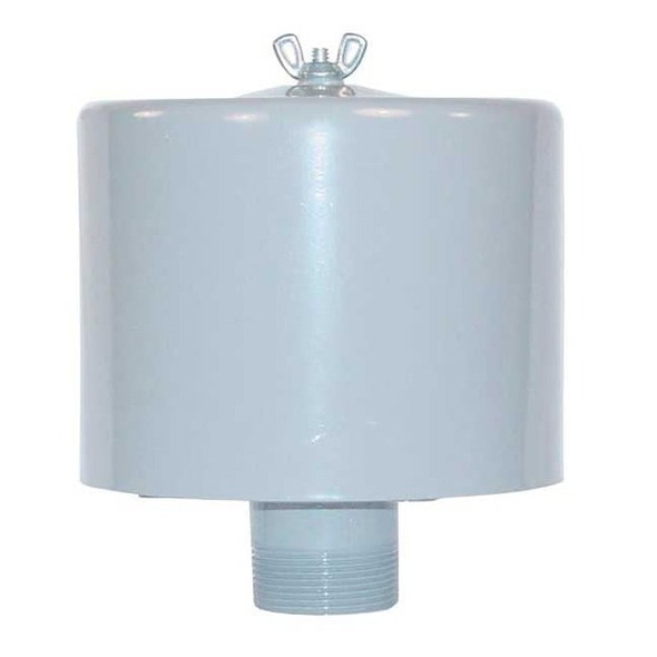Solberg Inlet Filter,1 1/4 MNPT Out,70 Max CFM F-19P-125