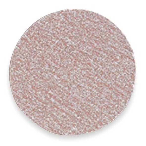 Norton Abrasives Hook-and-Loop Sand Disc,6 in Dia,PK100 66261131565