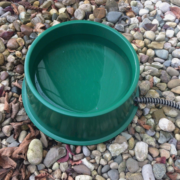 Farm Innovators 1 Qt. Plastic Heated Pet Bowl Farm Innovators 1 Qt. Plastic Heated Pet Bowl