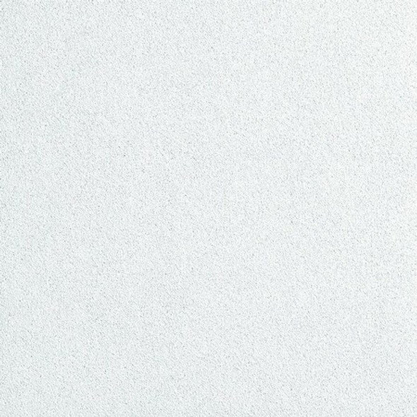 Armstrong Ceiling Tile, 15/16 in Grid Size, 10 PK 2822AN