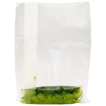 Benchmark Scientific Blender Bag,400mL,PK500 IPD4400-B400F1