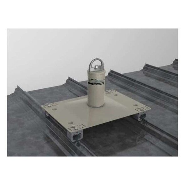 Miller by Pip X10000