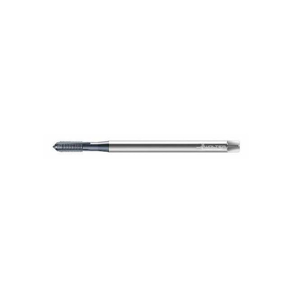 Walter Straight Flute Hand Tap, Plug 4 Flutes E2031436-M8