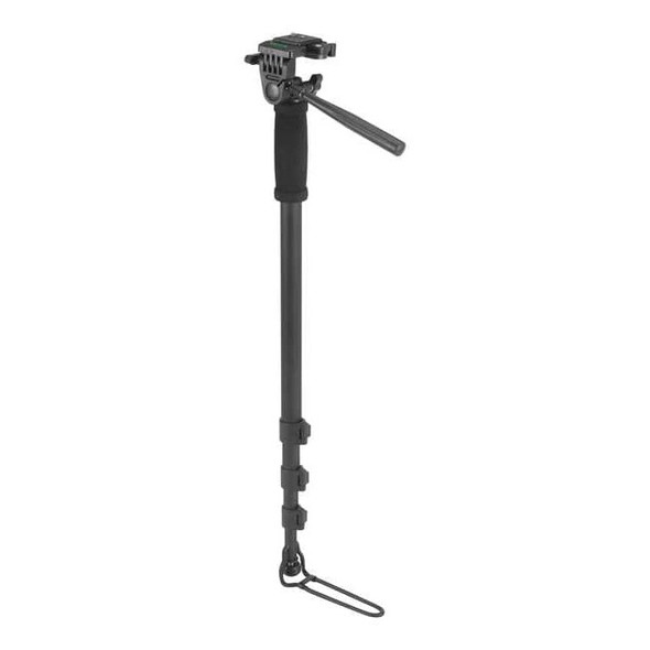 Northwest Monopod BMP1