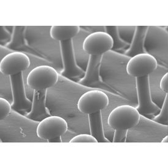 3M Disc Pad Holder 917 7"" x 5/16"" x 3/8"" - 5/8-11 INT