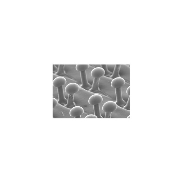 3M Disc Pad Holder 917 7"" x 5/16"" x 3/8"" - 5/8-11 INT