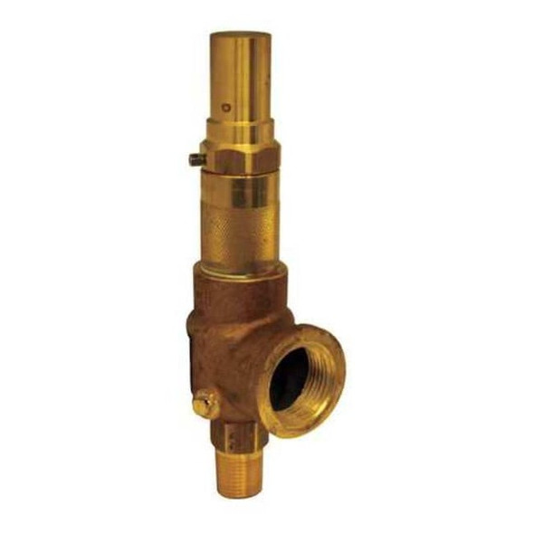Apollo Valves Adjustable Relief Valve,1/2 In,250 psi 1650160