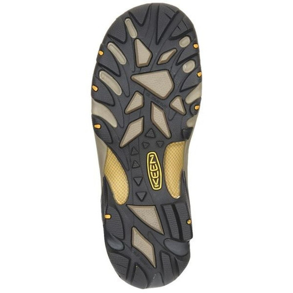 Men's Hiker Boot, 8 EE, Steel Toe, 5 in H, Raven-Tawny Olive, 1018079