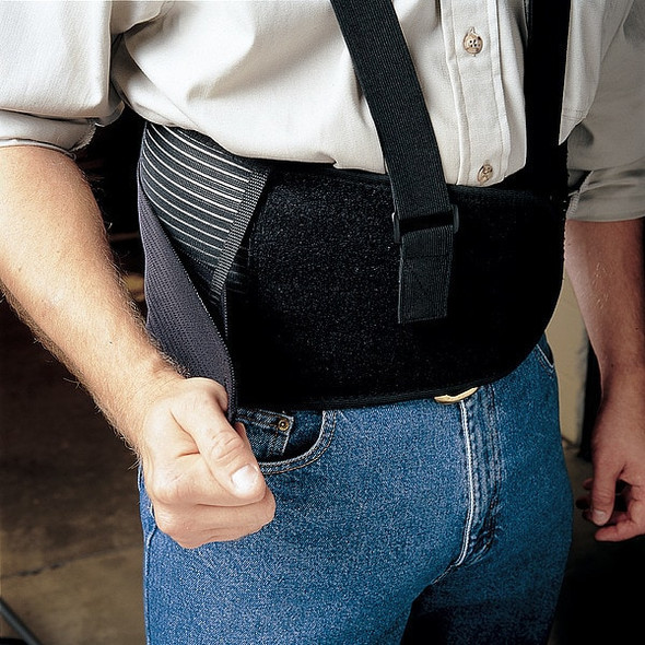 Condor Back Support,Premium,S 3RVC4