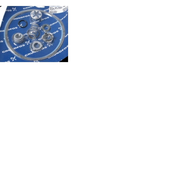 Grundfos Pumps Pump Shaft Seal Kit 985204