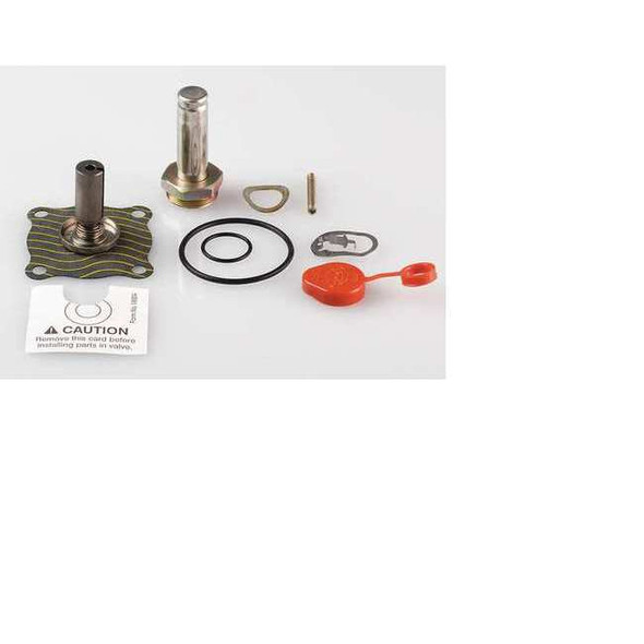ASCO Solenoid Valve Rebuild Kit 302276