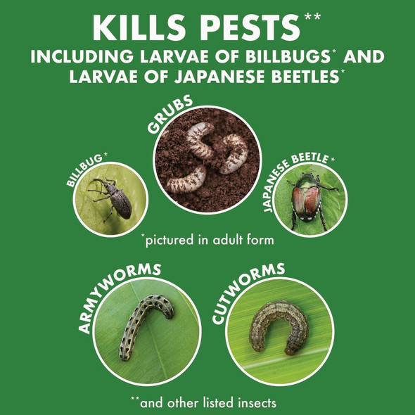 Spectracide Grub Stop for Lawns 9.2 Lb. Granules Grub Killer HG-47429 756749