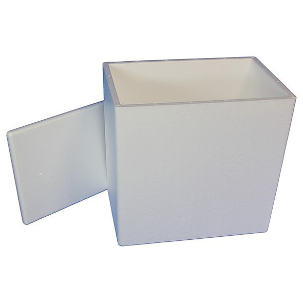 Polar Tech Industries Insulated Overnight Shipping Foam & Carton, 1-2 Day ON38C