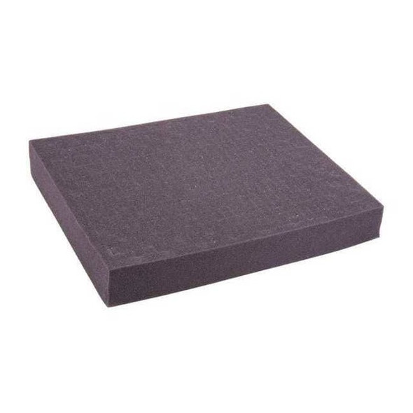 Reed Instruments Replacement Foam for R8890 R8890-FOAM