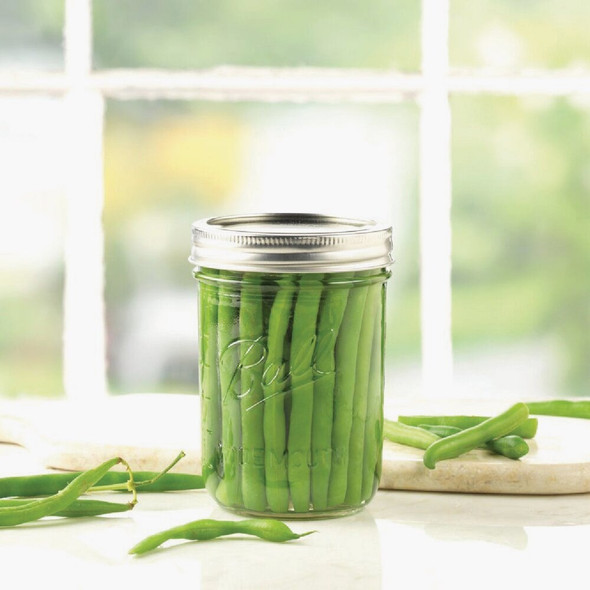 Ball 16 Oz Wide Mouth Mason Jar (12-Count) 66000ZFP 661153