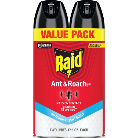 Raid 17.5 Oz. Aerosol Spray Ant & Roach Killer (2-Pack) 77692