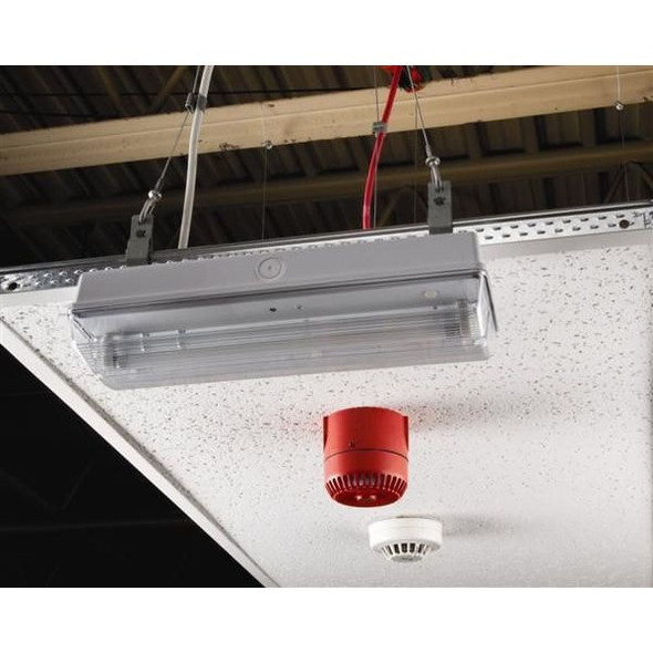 Nvent Caddy Clip,Grid Size 9/16 in x 5/16 in,PK10 IDS95