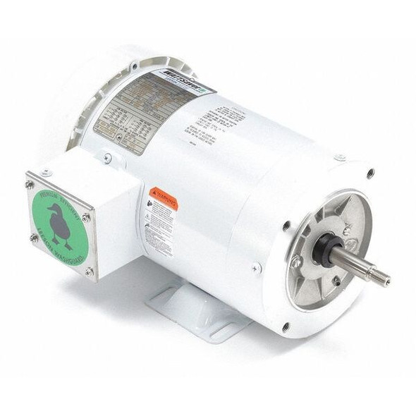 Leeson Washdown Motor,2 HP,Face/Base,3-Phase 119461.00