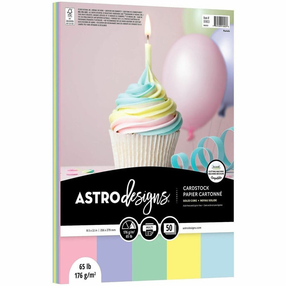Wausau Paper ASTRODESIGNS Printable Multipurpose Card Stock 91803