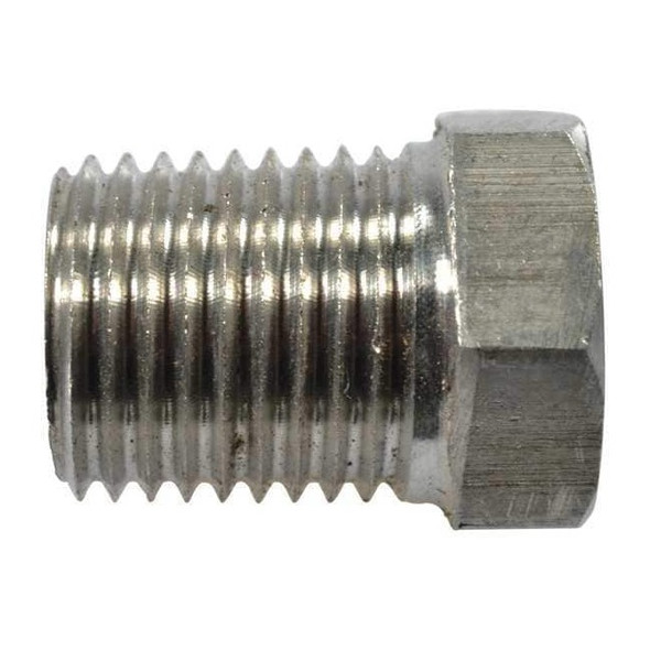 Dayton Pipe Plug SS316,1/4 Npt SS,PK2 PP60154G