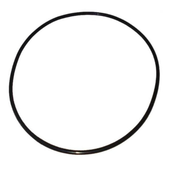 Dayton Ss Pump O-Ring PP21101530001G