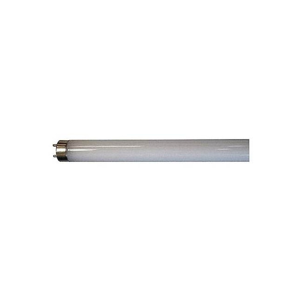 Shat-R-Shield LinearLEDBulb,MedBi-Pin(G13),T8,12W,1PK 06656E Pack of 30
