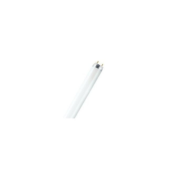 Fluorescent,25 W,T8,Medium Bi-Pin (G13) Pack of 30