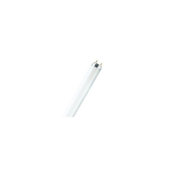 Fluorescent,25 W,T8,Medium Bi-Pin (G13) Pack of 30
