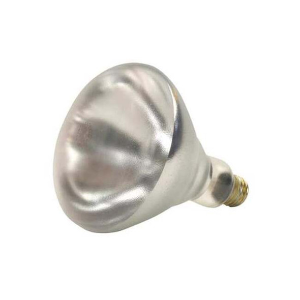 SHAT-R-SHIELD 250W, R40 Incandescent Light Bulb Pack of 12