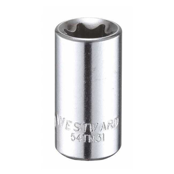 Westward 1/4 in Drive Torx(R) Socket SAE E-10 Tip, 1 7/32 in L 54TN31