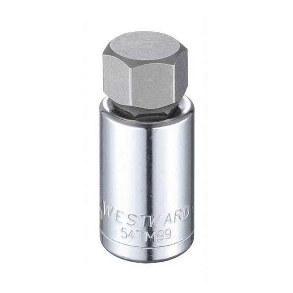 Westward 1/2 in Drive Hex Socket Bit Metric 19 mm Tip, 2 1/4 in L 54TM99