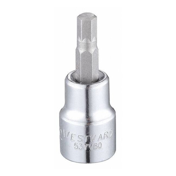 Westward 3/8 in Drive Hex Socket Bit SAE 7/32 in Tip, 1 3/4 in L 53YV80