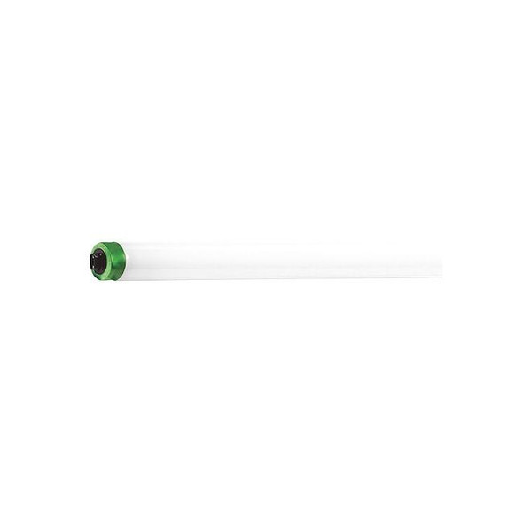 Linear Lamp,T8 Bulb Shape,96"Max. Length Pack of 50