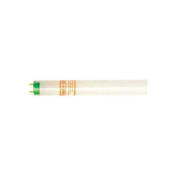Shat-R-Shield Fluorescent,32 W,T8,Medium Bi-Pin (G13) 46544 Pack of 30