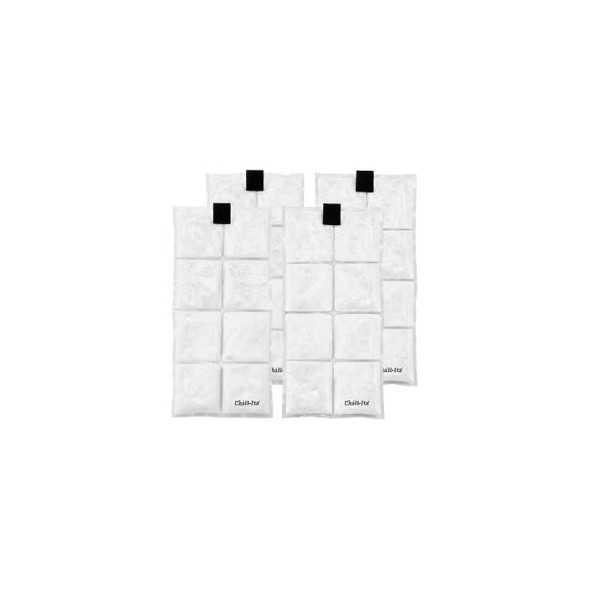 Ergodyne Chill-Its 6250 Lightweight Phase Change Cooling PacksSet of 4 Clear 121