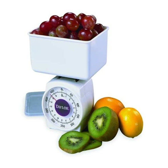 Taylor Dial Scale,Plastic,1 lb Weight Cap.,Whte 37204014T