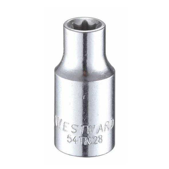 Westward 1/4 in Drive Torx(R) Socket SAE E-6 Tip, 1 13/16 in L 54TN28