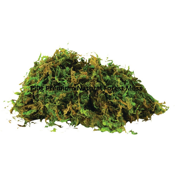 Mossify 5.3 Oz. Premium Natural Forest Moss FOR-N-0002 757829