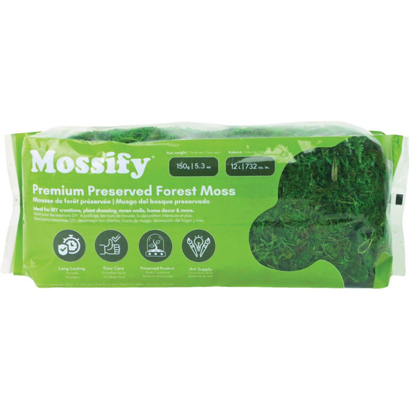Mossify 5.3 Oz. Premium Preserved Forest Moss PRES-G-0002 758997