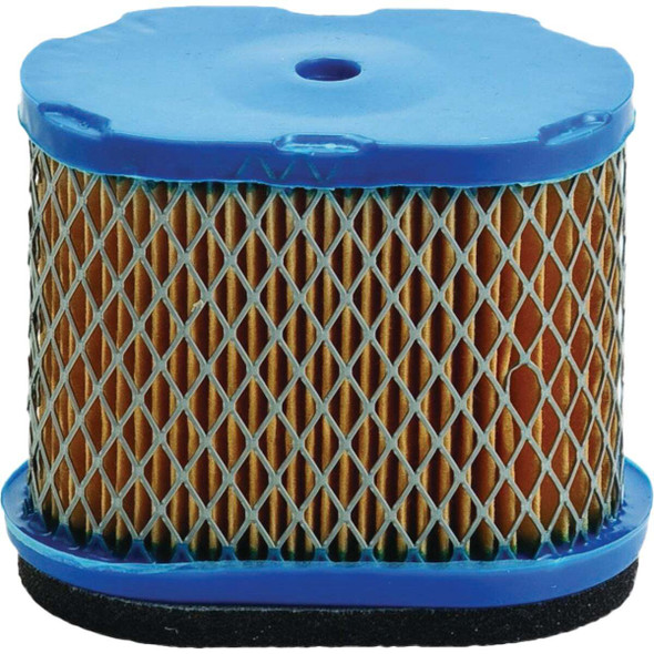 Oregon R-30-033-CP Paper Engine Air Filter for Walk Behind Mowers R-30-033-CP