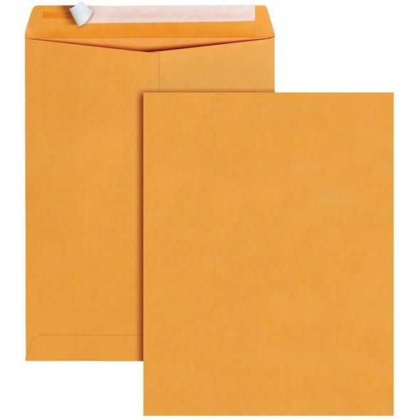 Business Source  Envelope 40099
