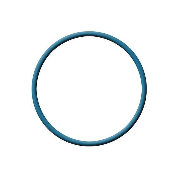 Manufacturer Varies Metal Detectable FDA Viton O-Ring, Dash 222 ZUSAV75MD222