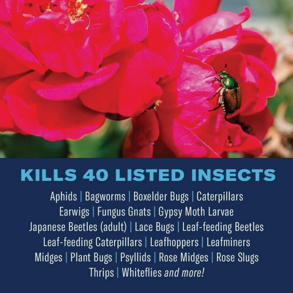 BioAdvanced 24oz Rtu Rseinsct Killer 502570B 704550