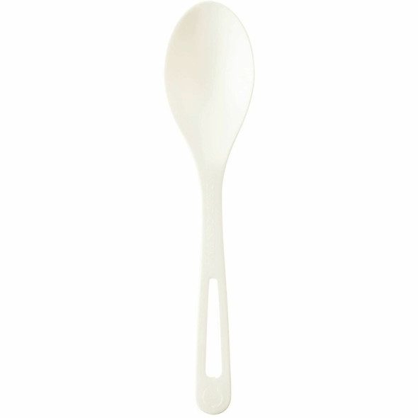 World Centric  Spoon SPPS6