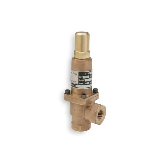 Cash Valve Pressure Relief Valve,1 In,50 psi,Bronze K10EWA01-E1-0050
